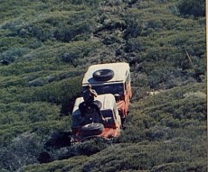 click here for big pic