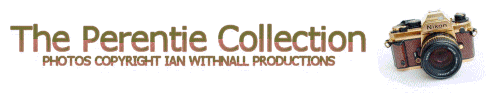 The Perentie Collection
