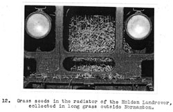 the first Aussie Army Land-Rover